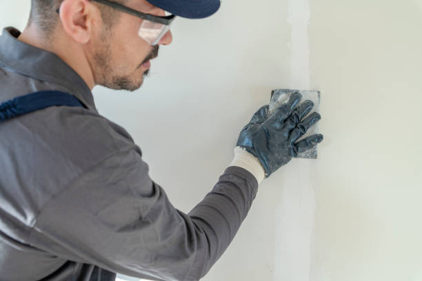 Best Water Damage & Mold Remediation  in Frankenmuth, MI