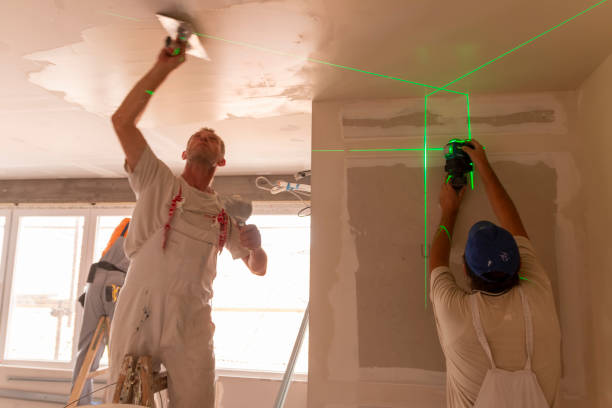 Biohazard Mold Removal in Frankenmuth, MI