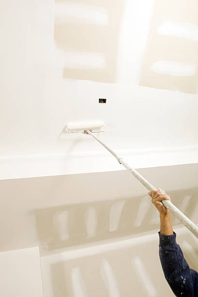 Best Post-Construction Mold Inspection  in Frankenmuth, MI
