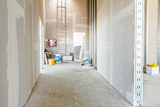 Best Real Estate Mold Inspection  in Frankenmuth, MI