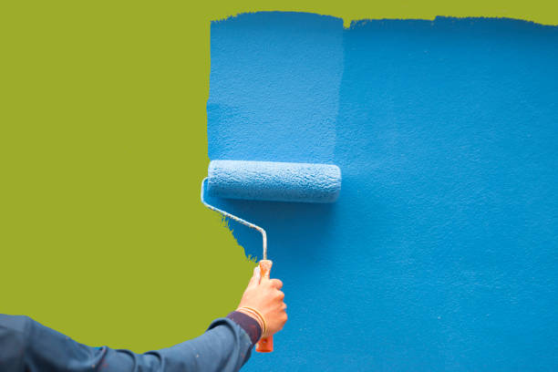 Best Emergency Mold Remediation  in Frankenmuth, MI