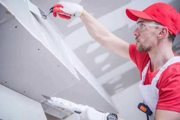 Trusted Frankenmuth, MI Mold Removal Experts