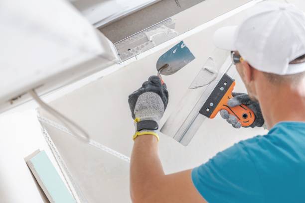 Best Real Estate Mold Inspection  in Frankenmuth, MI